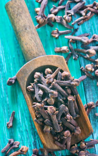 cloves