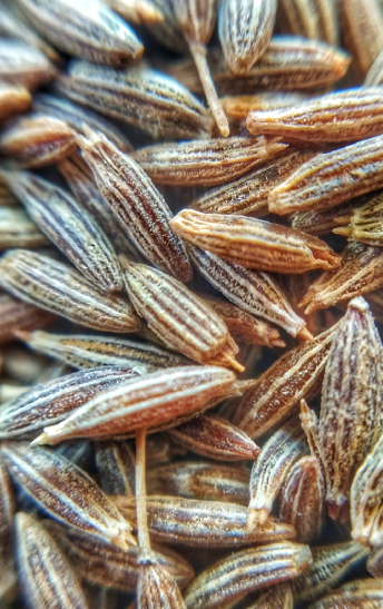 cumin seeds