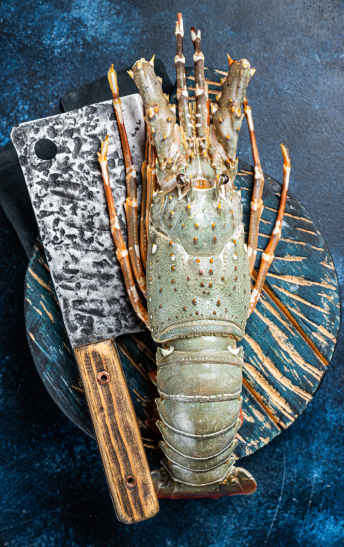 lobster
